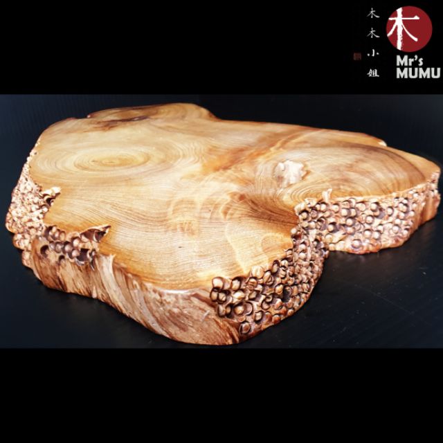 台灣肖楠樹頭展示版（北肖）