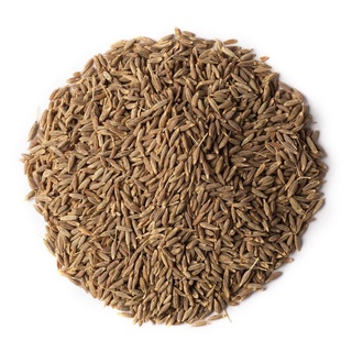 【珍裕亭嚴選】孜然/馬芹子/小茴香子/Cumin