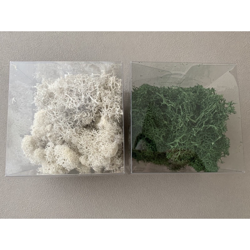 露森花藝苔草 苔蘚 水草 蝦皮購物