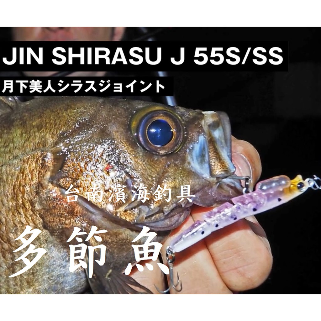 滿額免運🔥 刷卡可分6期 DAIWA 月下美人 多節 內有鋼珠 しらすJ 路亞 淺層飄飄樂 根魚 假餌 硬餌 軟餌 路亞