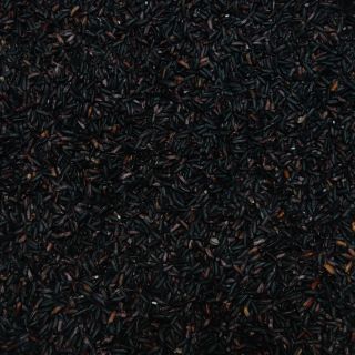 台灣黑米(紫米~營養)