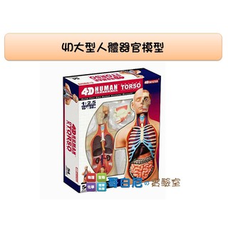 哥白尼的實驗室/科學玩具/4D大型人體器官模型/正版Fame Master/所有器官皆可拆解/生物教學模型