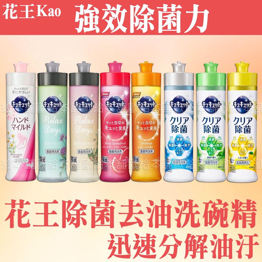 【台灣現貨 24H發貨】花王 洗碗精 花王洗碗精 花王除菌去油洗碗精
