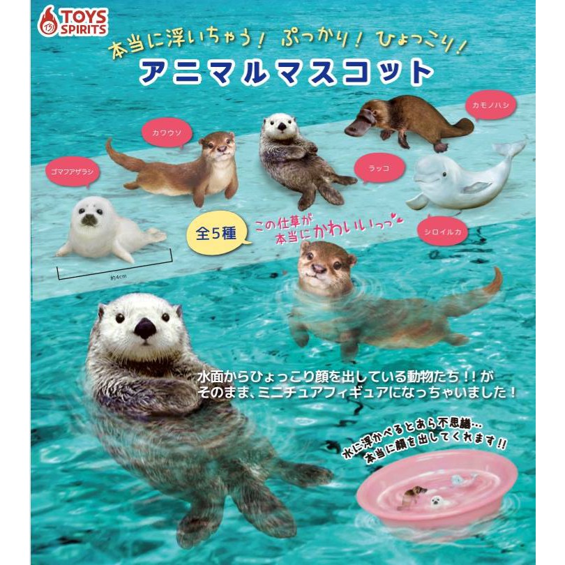 Dumpytoy 現貨日版toys Spirits 轉蛋水中生物造型漂浮小物水面漂浮動物小全四款 缺右上 蝦皮購物