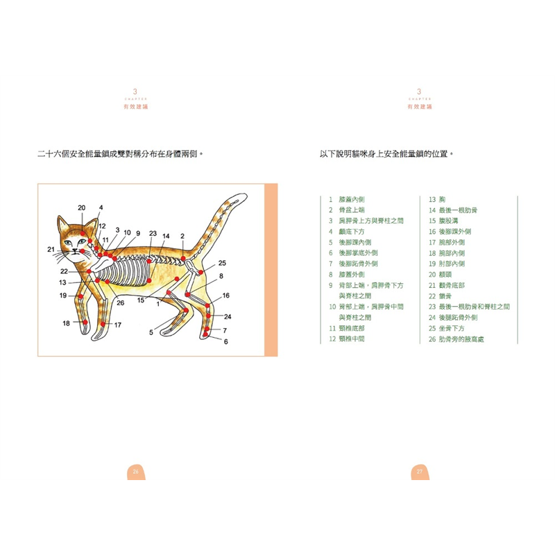 超簡單！貓咪健康按握術--每天十分鐘，輕鬆按按保平安[二手書_良好 