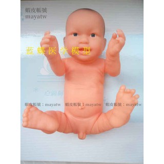 (MD-B_1402)模擬軟膠女嬰兒護理模型 初生兒模型 幼兒護理培訓模型塑膠娃娃