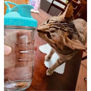 環保杯 玻璃杯 水壺 750ml 24oz