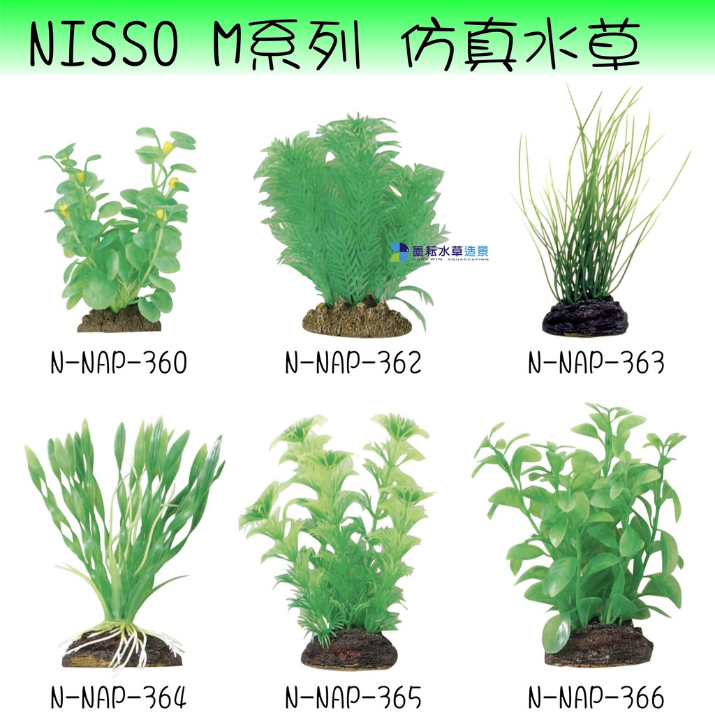 墨耘 日本nisso M系列假水草仿真水草水韮綠菊南極杉香香草扭蘭 蝦皮購物