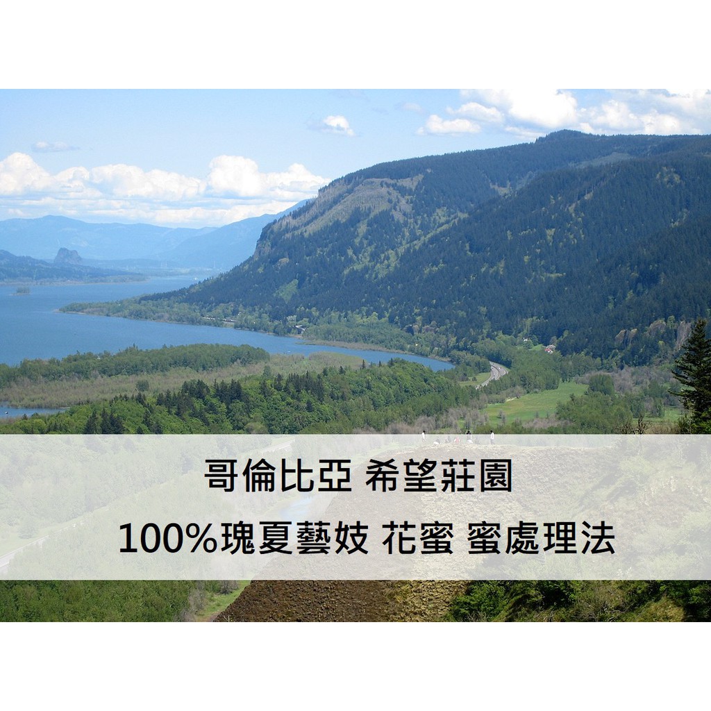 哥倫比亞希望莊園藍色山丘瑪格麗特花蜜藝妓 瑰夏 蝦皮購物