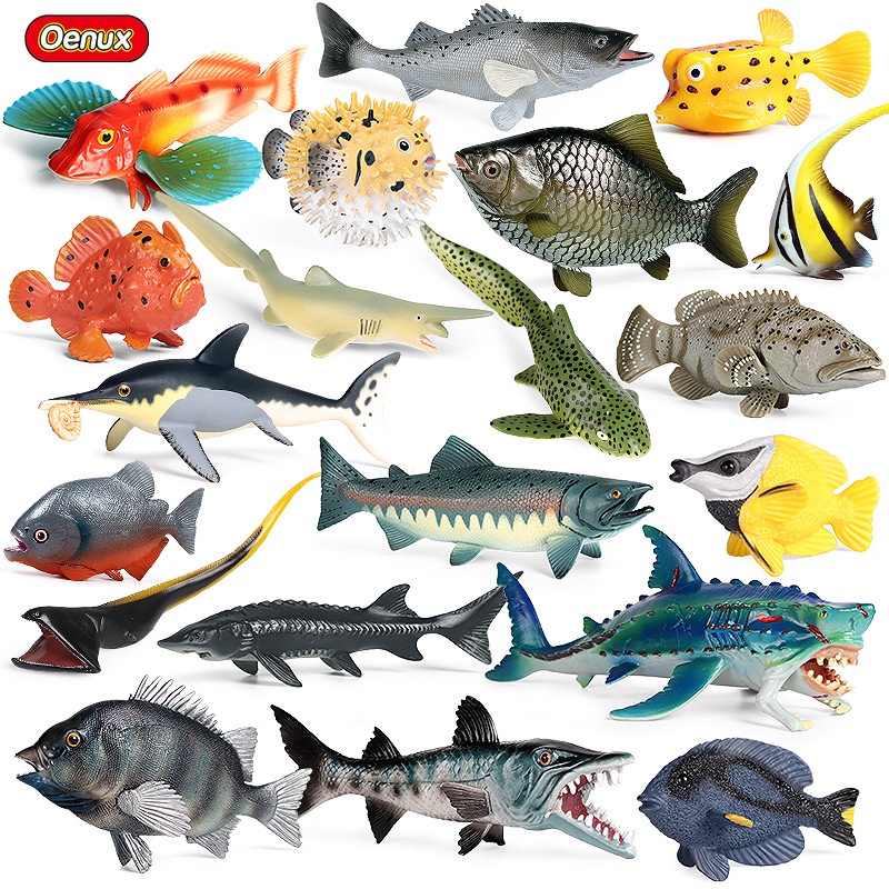 新作モデル 淡水魚 海水魚 用品 魚用品 水草 Www Qiraatafrican Com