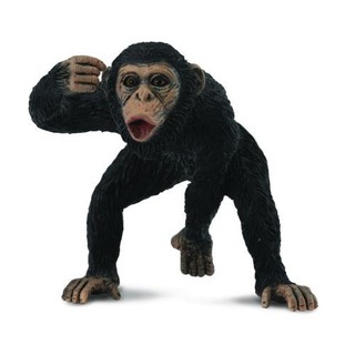 臺中＊＊宏富玩具＊＊《 COLLECTA 》英國 Procon 動物模型 公黑猩猩