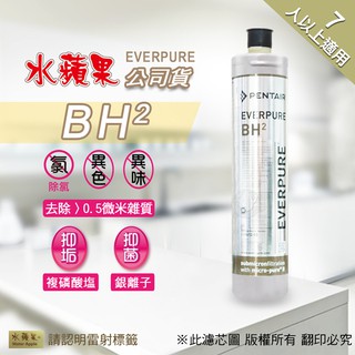 現貨🔥【水蘋果】公司貨EVERPURE BH2 淨水濾心(家用型) [A0008] 另有 S104 H104 4HL