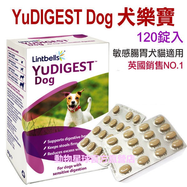 lintbells yudigest dog