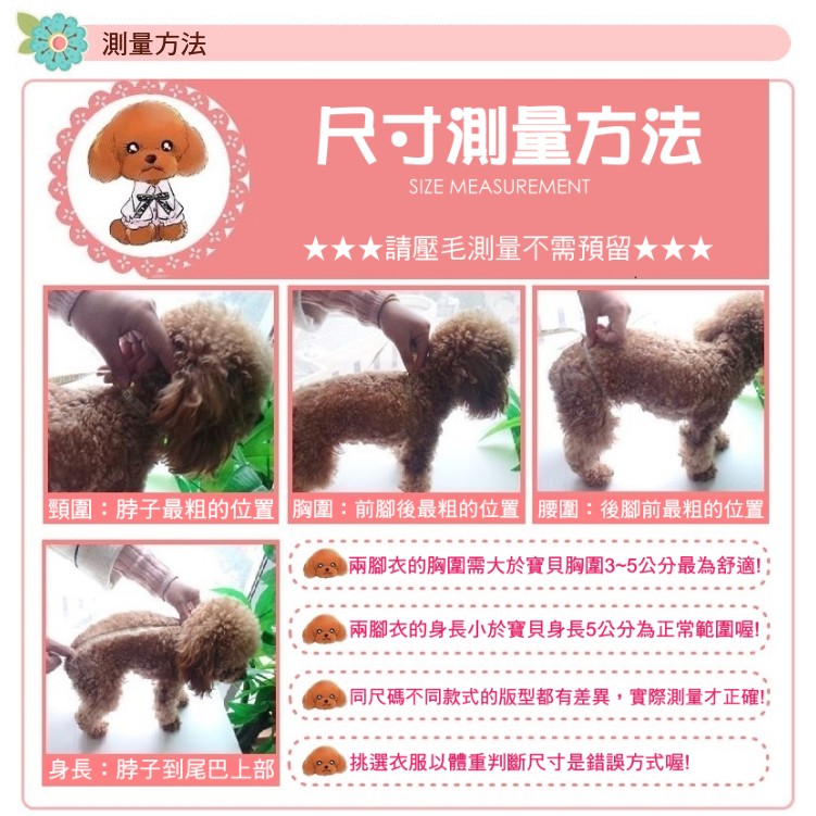 萌犬物語 Beache Holic F K帽t恤 寵物衣服狗背心狗衣服狗狗衣服貓衣服寵物兩腳衣小型犬衣服 蝦皮購物