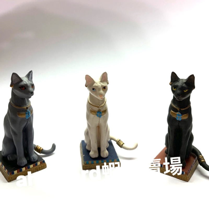 海洋堂  巧克力蛋 拼裝 公仔 短腿貓 埃及貓 波斯貓 貓 科 類 轉蛋 扭蛋 擬真 動物
