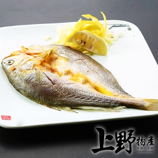 【上野物產 】嚴選黃魚一夜干（210g±10%/隻）海鮮/魚/一夜乾/黃魚