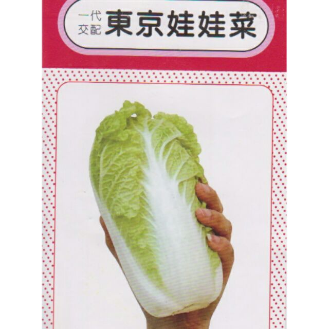 四季園 東京娃娃菜 F1中包裝蔬果種子 (分裝包) 約1.5公克/包