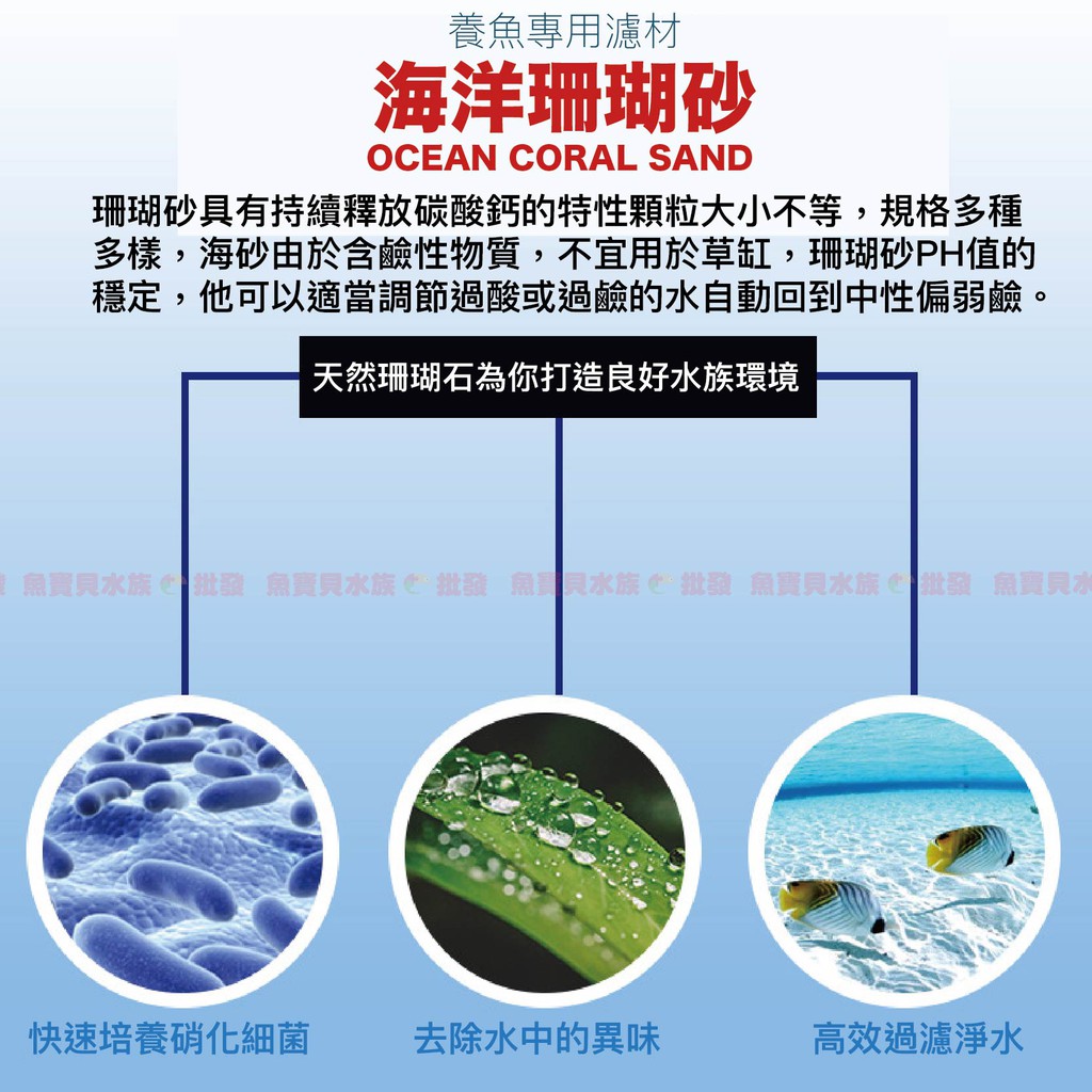天然嚴選 珊瑚骨 珊瑚石 珊瑚砂 菲律賓砂 純天然鹼性珊瑚骨 調節穩定ph 天然魚缸底砂用 過濾用 造景底沙底材