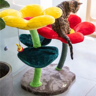 可愛花朵愛貓爬架跳台