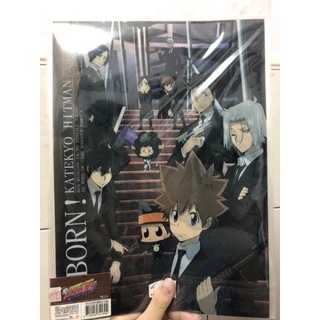 家庭教師reborn 上掀式資料夾 正版木棉花動漫