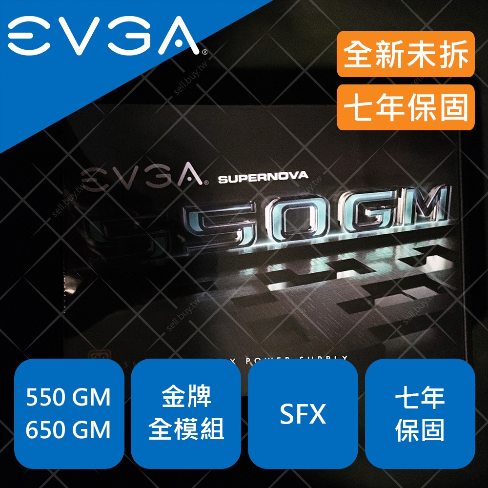 EVGA 艾維克 550GM 650GM 金牌 全模組 SFX GM 550W 650W 電源供應器 ITX PSU