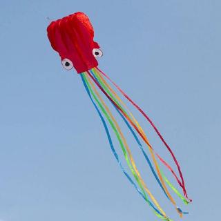 章魚風箏 濰坊4米軟體八爪魚線輪大型微風易飛成人初學者兒童批發