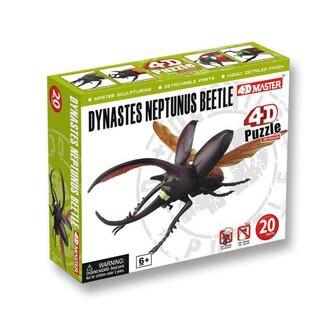 4D MASTER 立體拼組模型昆蟲系列-海神大兜蟲 26589【小瓶子的雜貨小舖】