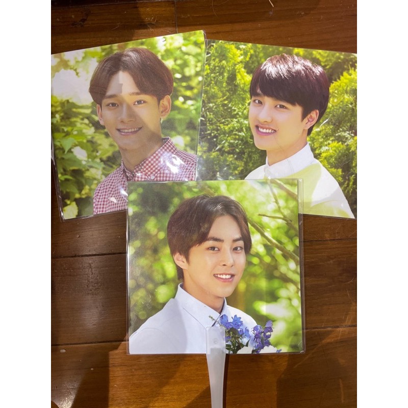 EXO CHEN XIUMIN D.O NATURAL REPUBLIC 扇子