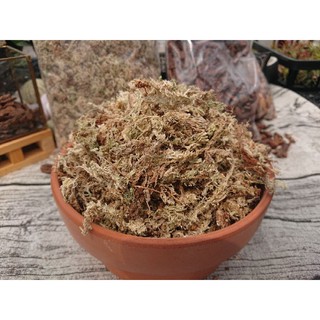 蘭花水苔 優惠推薦 21年8月 蝦皮購物台灣