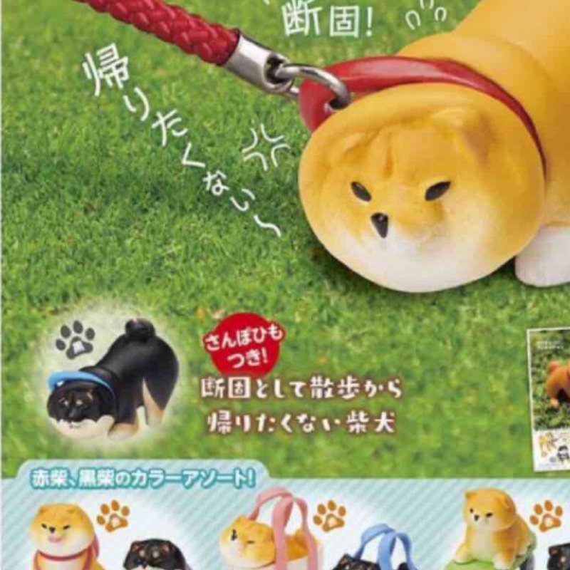 Stasto Stand 不願意拒絕黑柴柴犬不願回家拒否犬扭蛋 蝦皮購物