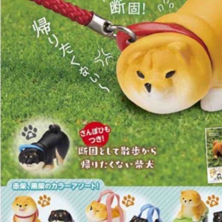 拒否犬的價格推薦 21年3月 比價撿便宜