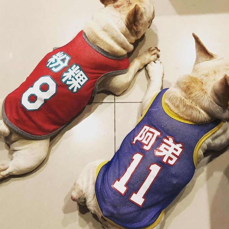Perlapets【台灣製】客製化狗衣 球衣運動背心款/狗團體服 貓衣 一件出貨 一件就做 寵物服飾