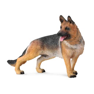 「芃芃玩具」COLLECTA 動物模型 R88552 德國狼犬 仿真 教材 教學 貨號88552