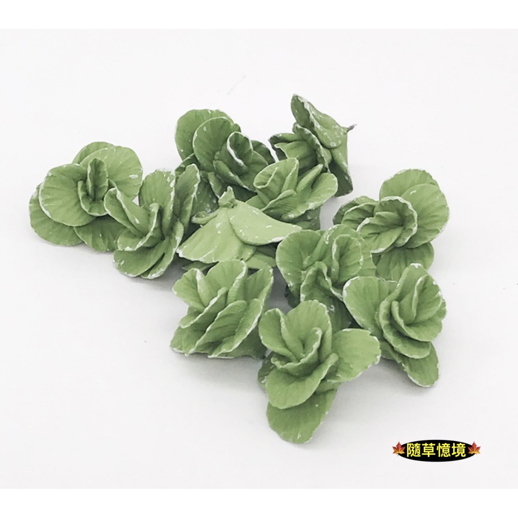🍁 （1入/5入）蔬菜 白菜 萵苣 青菜 微縮模型 食玩模型 微縮場景 1:12 隨草憶境