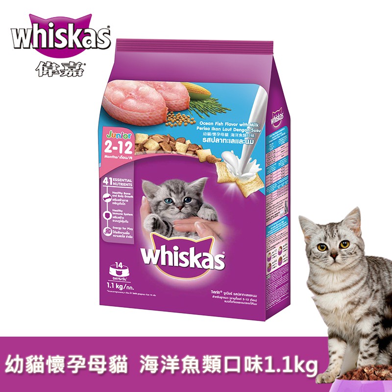 【偉嘉】乾糧幼貓/懷孕母貓 海洋魚類口味 1.1kg/包