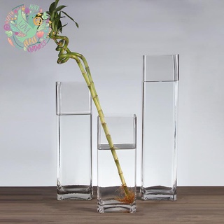 周周花卉 特大號玻璃花瓶透明方形高款大號落地插富貴竹竹子銀柳插花擺件 #12