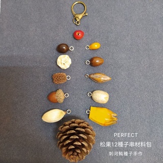 刺河魨種子手作🐡松果精緻12種子串材料包