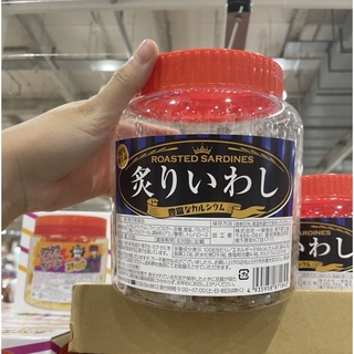 日本Costco好市多 缺貨很久的炙燒沙丁魚300g 下酒菜 好吃 小朋友 兒童 下午茶 看電視 配茶 配咖啡 配酒