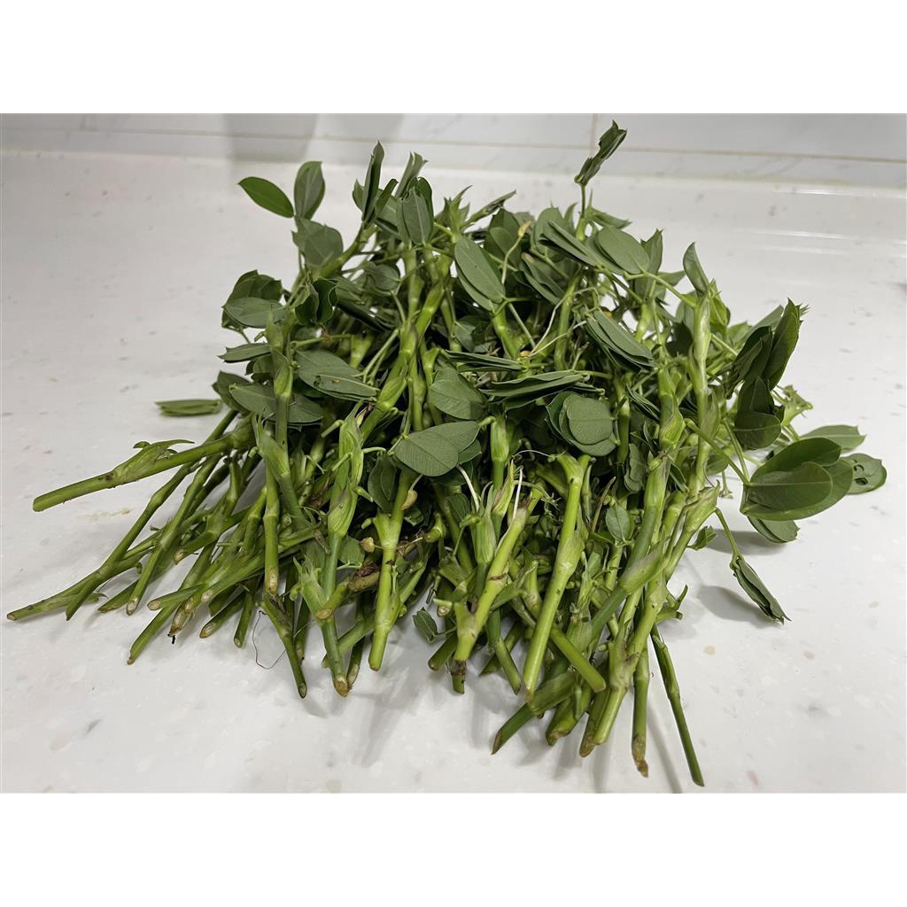 草生栽培研究社 蔓花生 草生栽培 豆科 固氮 草皮 果園地被植物 15cm以上阡插枝條 滿50枝贈送5枝 蝦皮購物