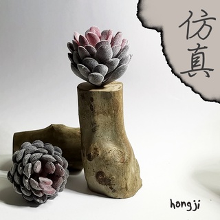 多肉 模擬多肉 微景觀 P76 假多肉植物 辦公室小物 療癒紓壓生日禮物拍照道具居家裝飾咖啡屋商店擺飾迷你木頭底座盆栽