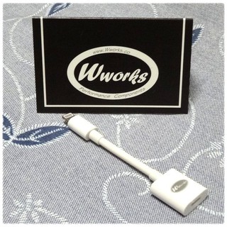 9cm Lightning PRO充電+資料+影音+Earpods耳機延長線公轉母專業版《臺北快貨》Wworks