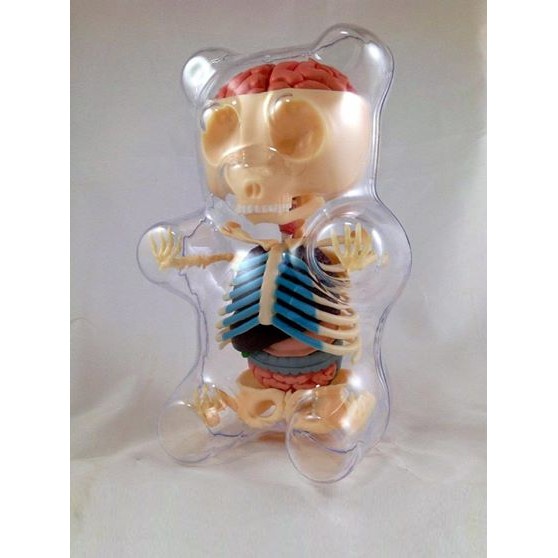 解剖小熊軟糖 Gummy Bear Anatomy Gummi[全新免運] (購買前請先詢問有無現貨，謝謝)