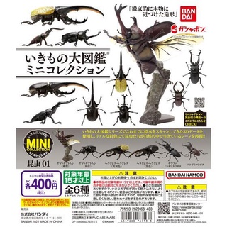 🔥現貨 生物大圖鑑 昆蟲篇01 獨角仙 鍬形蟲 昆蟲 大兜蟲 甲蟲 扭蛋 公仔 模型