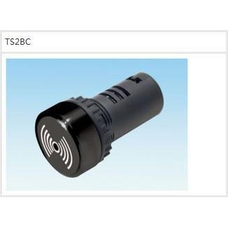 【洋洋科技】Tend 天得 蜂鳴器 TS2BC 110V / 220V  簡單式 連續型 警報器 TS2BC2
