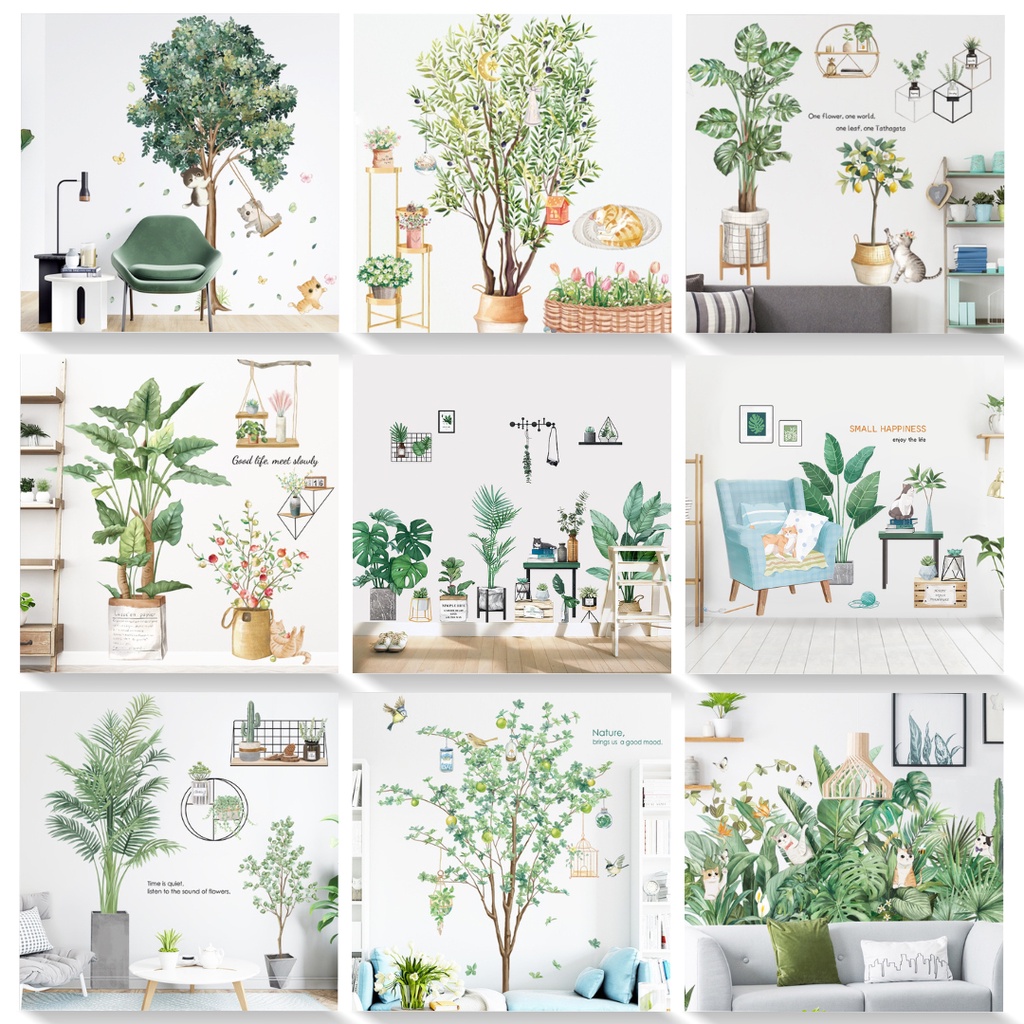 台灣現貨壁貼 闆闆推薦 多肉植物 自黏壁貼壁貼壁紙防水無痕壁貼ins 網美裝飾 蝦皮購物