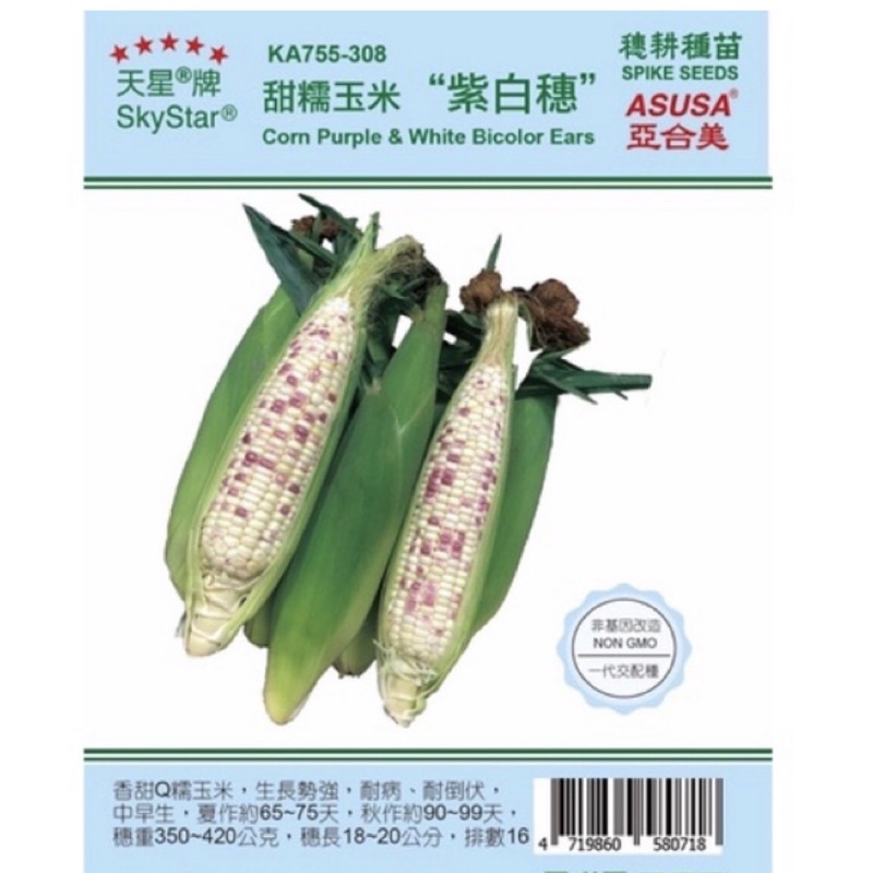 甜糯玉米'紫白穗'【蔬果種子】天星牌 一代交配種 約1磅/包 大包裝 非基因改造 全年可播種