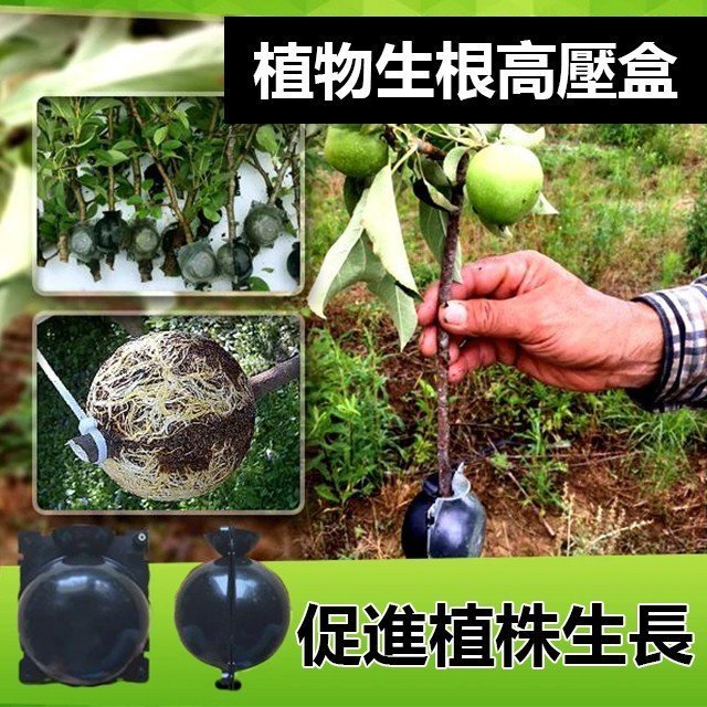 植物生根球繁殖器高壓繁殖盒扦插接接生根盒園林樹木高空壓枝器 可反復使用，嫁接，扦插，移栽，植株成活率高，操作更簡單