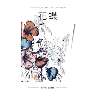 †星星咖啡†衣索比亞 古吉 罕貝拉 水洗 花蝶 G1
