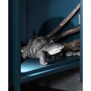 日本Magnets奇幻動物系列 鯊魚烏龜混和鯊魚龜造型存錢筒