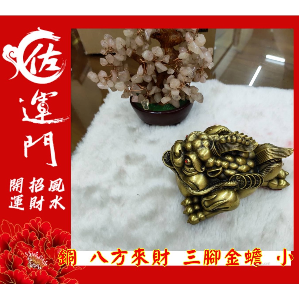 佐運門風水商城 現貨開光八方來財獨腳蟾三腳金蟾招財咬錢錢金錢風水擺件招財擺件招財擺飾風水擺飾